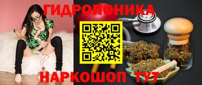 дурь Берёзовский