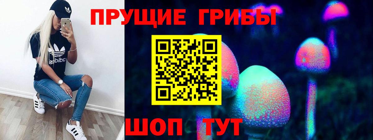 Галлюциногенные грибы мухоморы  Вход с VPN  Казань  Галлюциногенные грибы Cubensis 