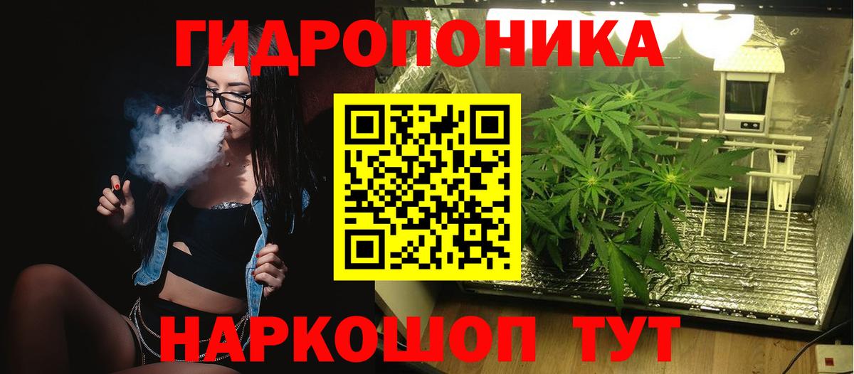 Канабис сатива Казань